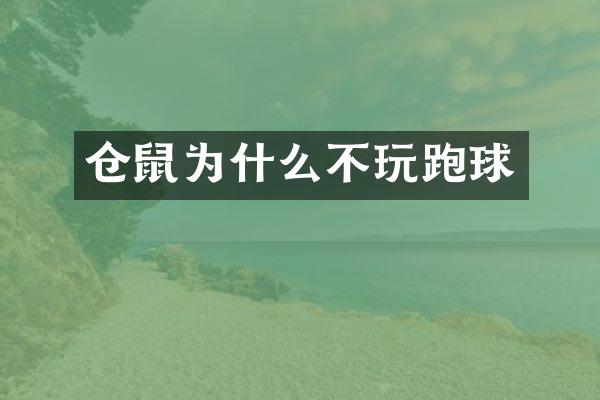 仓鼠为什么不玩跑球