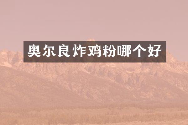 奥尔良炸鸡粉哪个好