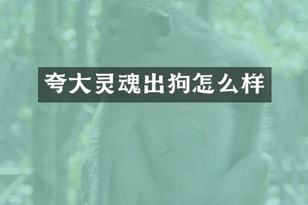 夸大灵魂出狗怎么样