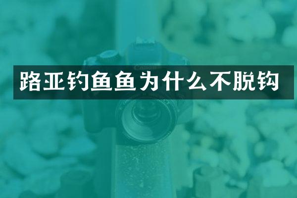 路亚钓鱼鱼为什么不脱钩