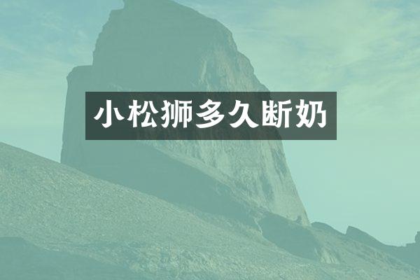 小松狮多久断奶