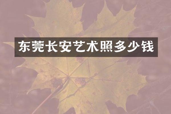 东莞长安艺术照多少钱