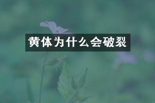 黄体为什么会破裂