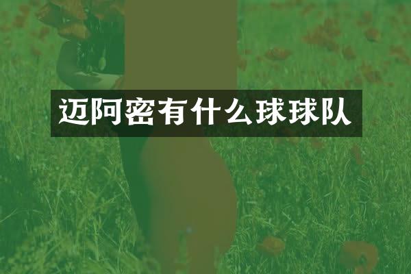 迈阿密有什么球球队