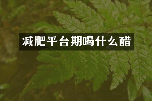 减肥平台期喝什么醋