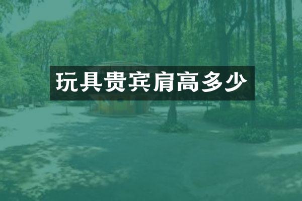玩具贵宾肩高多少