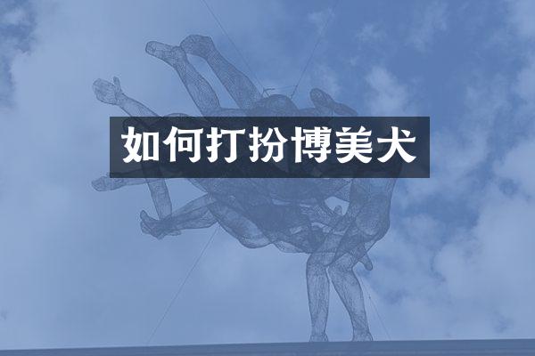 如何打扮博美犬