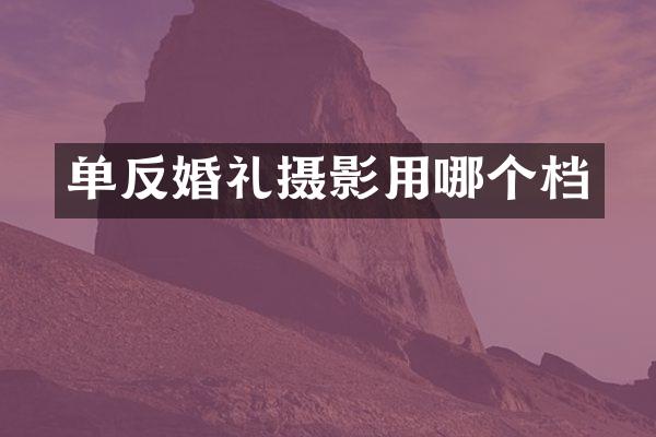 单反婚礼摄影用哪个档