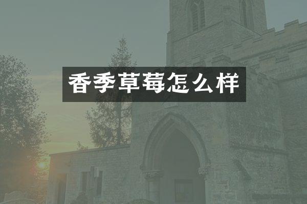 香季草莓怎么样