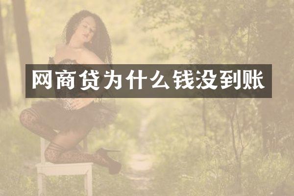 网商贷为什么钱没到账