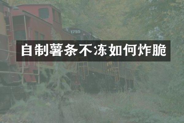 自制薯条不冻如何炸脆