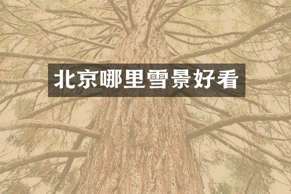 北京哪里雪景好看