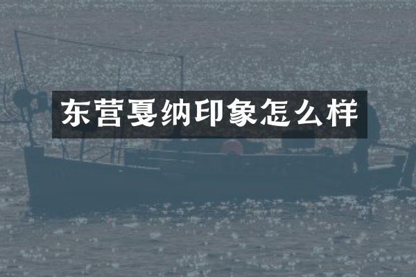 东营戛纳印象怎么样