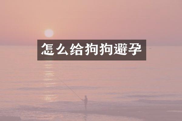 怎么给狗狗避孕