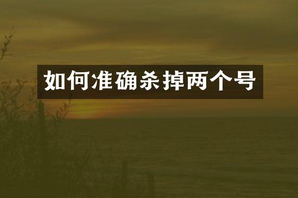 如何准确杀掉两个号