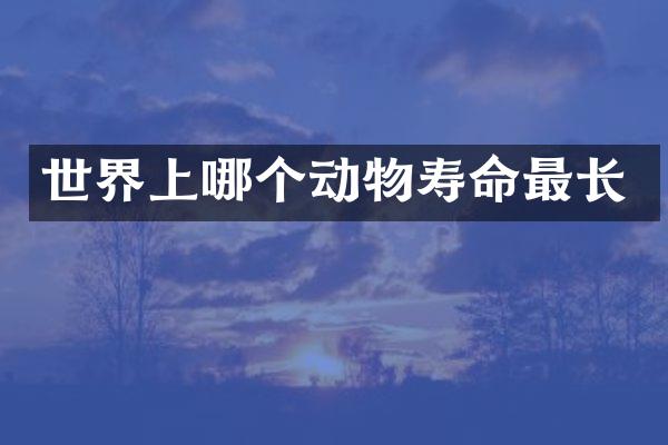 世界上哪个动物寿命最长