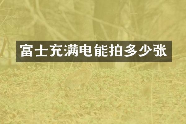 富士充满电能拍多少张