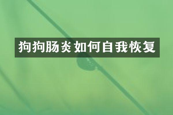 狗狗肠炎如何自我恢复