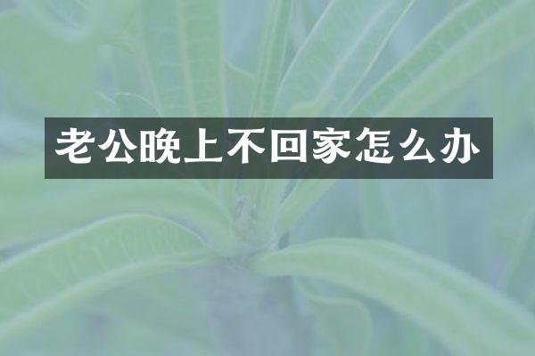 老公晚上不回家怎么办