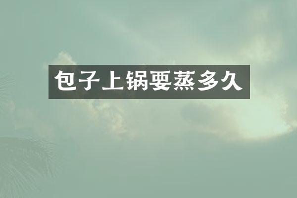 包子上锅要蒸多久