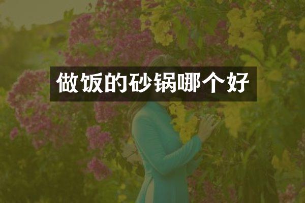 做饭的砂锅哪个好