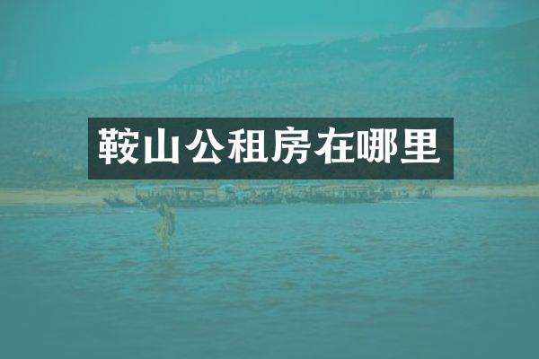 鞍山公租房在哪里