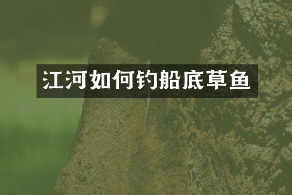 江河如何钓船底草鱼