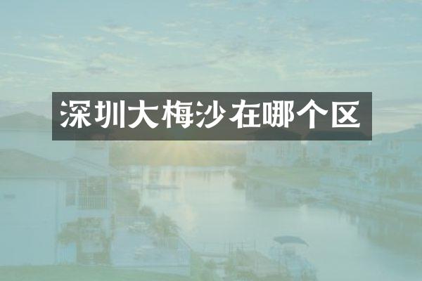 深圳大梅沙在哪个区
