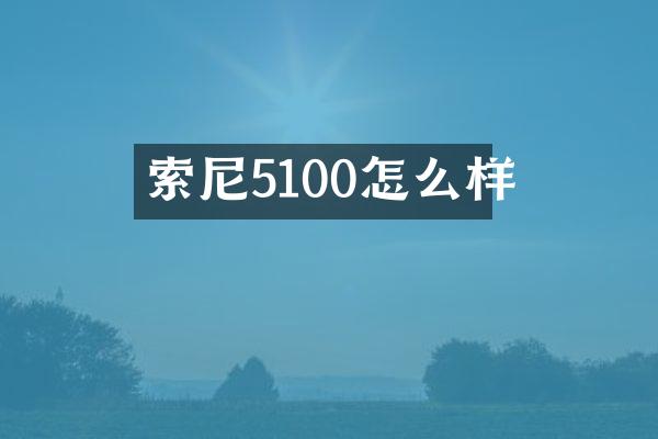 5100怎么样