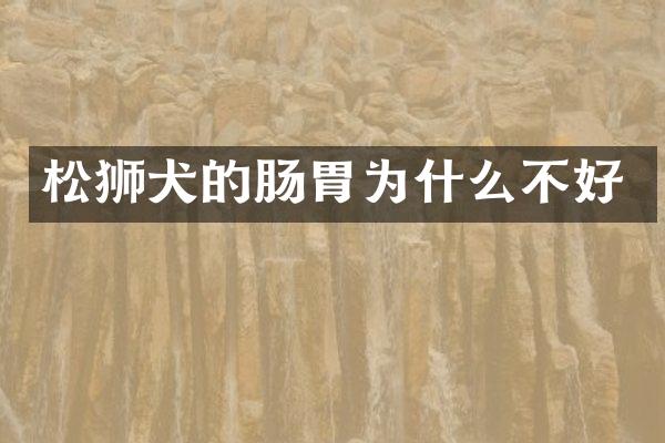 松狮犬的肠胃为什么不好