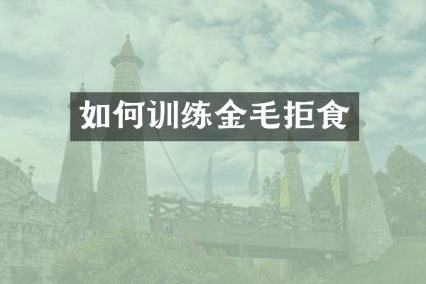 如何训练金毛拒食