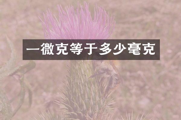 一微克等于多少毫克