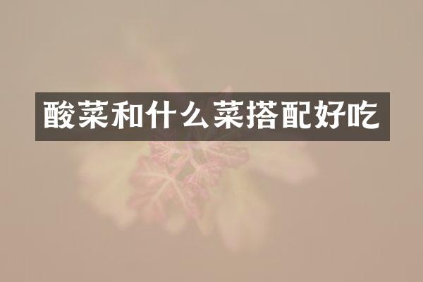 酸菜和什么菜搭配好吃