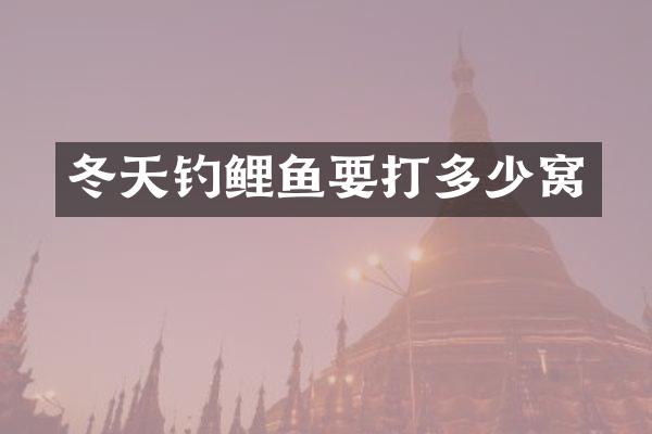 冬天钓鲤鱼要打多少窝