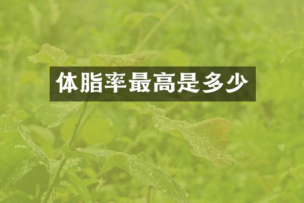 体脂率最高是多少