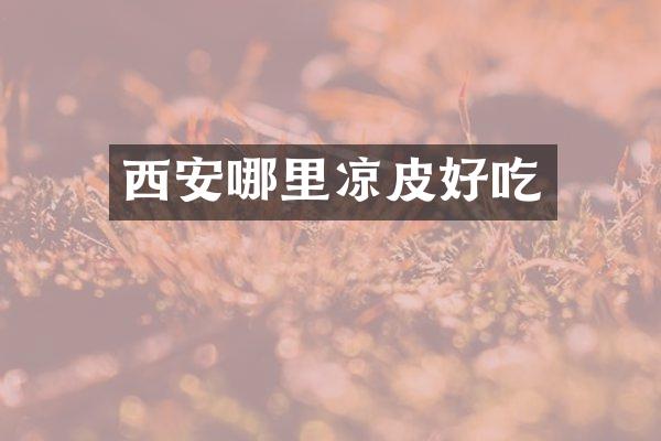 西安哪里凉皮好吃