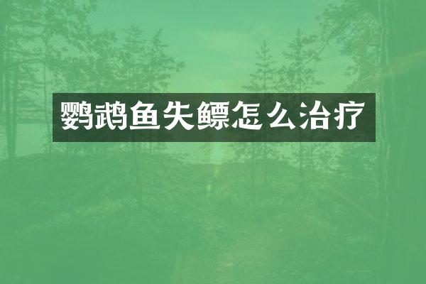 鹦鹉鱼失鳔怎么治疗