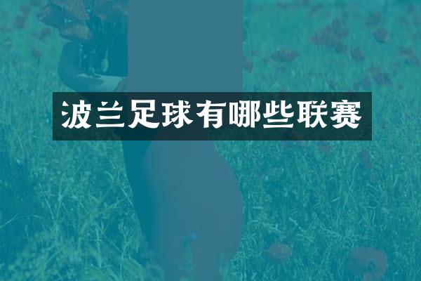 波兰足球有哪些联赛