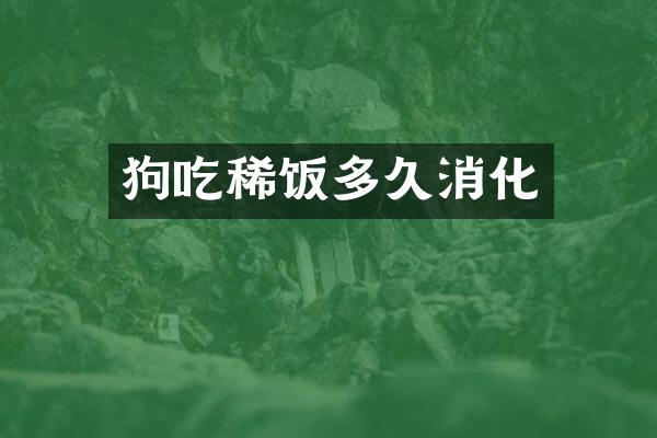狗吃稀饭多久消化
