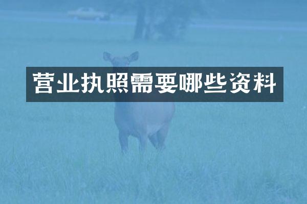 营业执照需要哪些资料