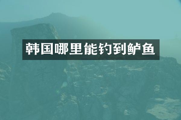 韩国哪里能钓到鲈鱼