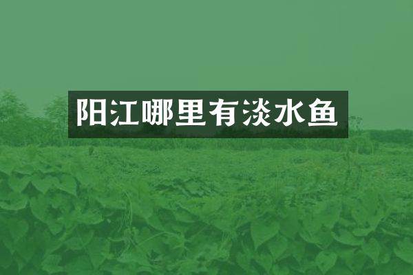阳江哪里有淡水鱼