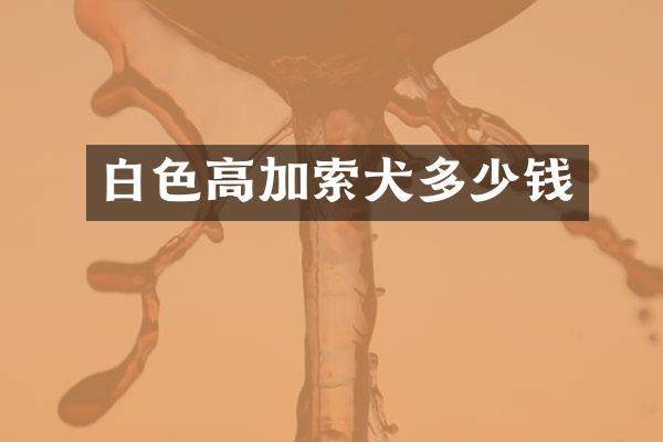 白色高加索犬多少钱