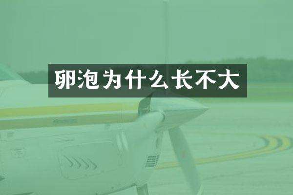 卵泡为什么长不大