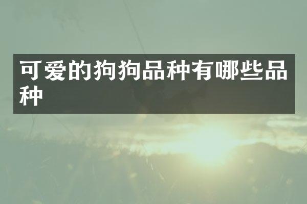 可爱的狗狗品种有哪些品种