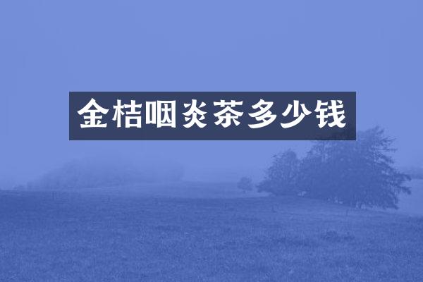 金桔咽炎茶多少钱