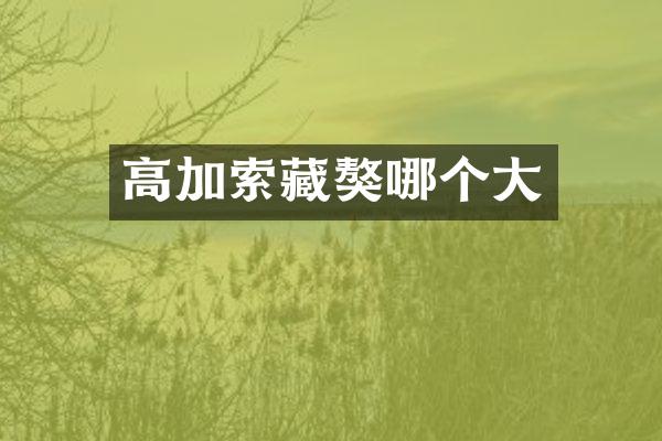 高加索藏獒哪个大