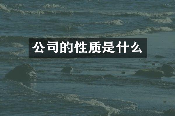 公司的性质是什么