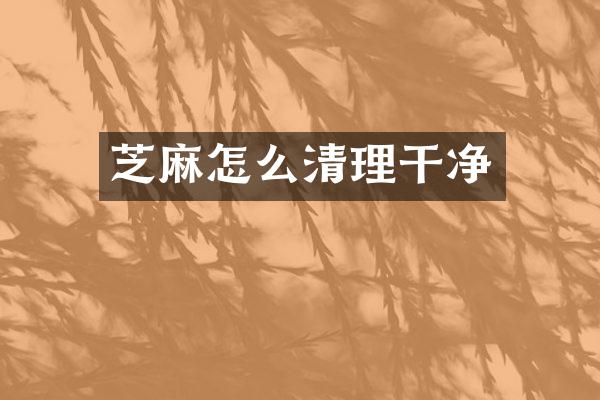 芝麻怎么清理干净