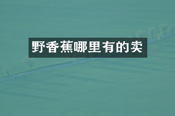 野香蕉哪里有的卖
